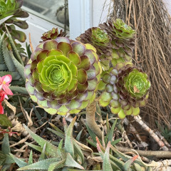 can you feel the energy