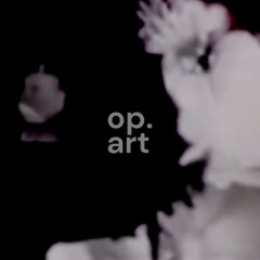 OPPORTUNITY 016 CAITY WATSØN