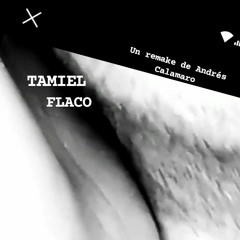 TAMIEL - FLACO (REMAKE ANDRES CALAMARO)