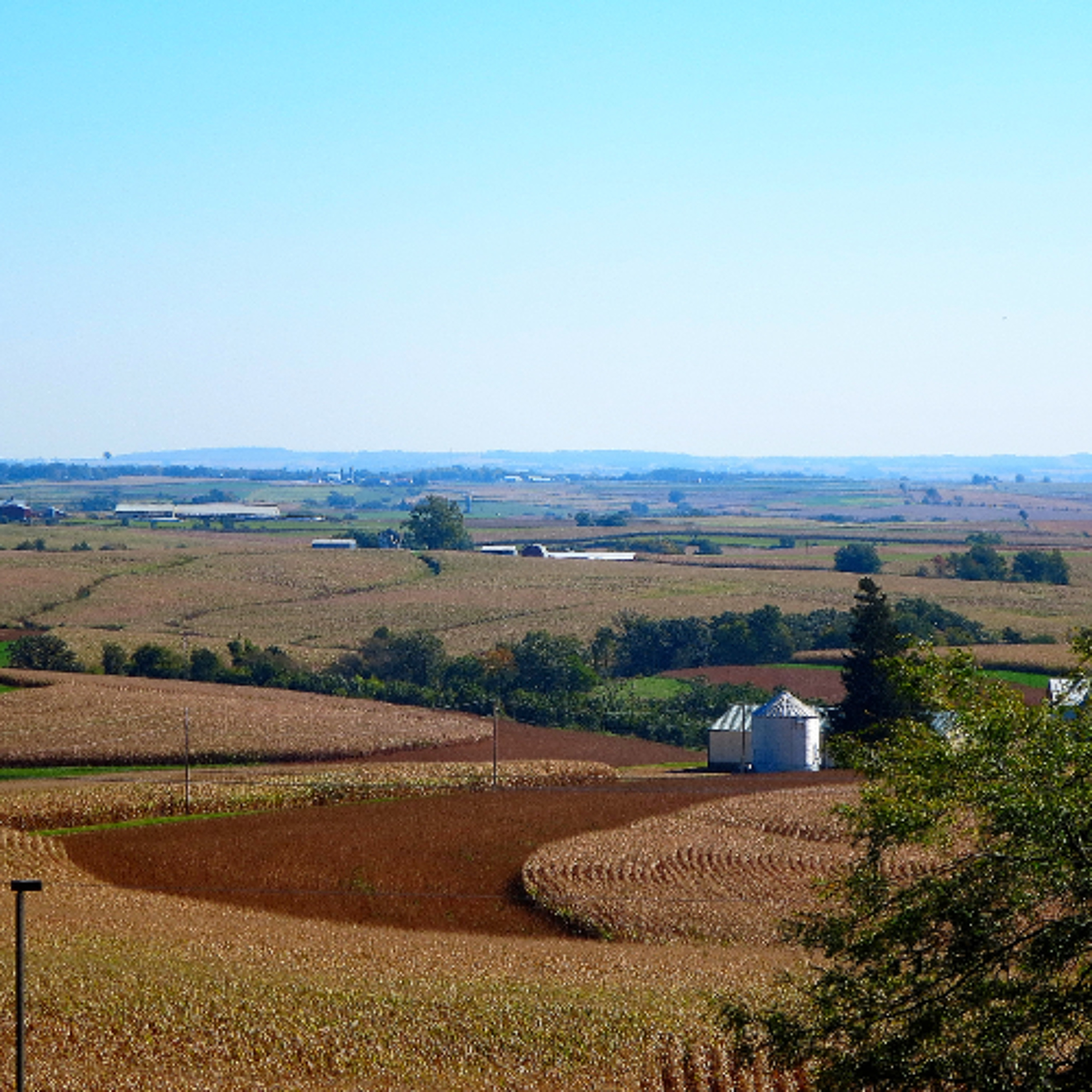 Microcolleges Build Resilient and Responsible Students