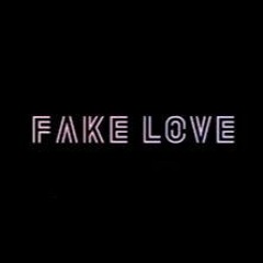 Fake Love