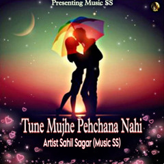 Tune Mujhe Pehchana Nahi