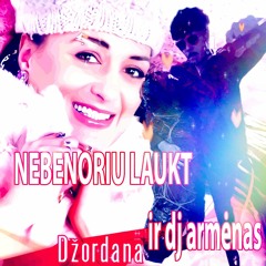 nebenoriu laukt (dj armėnas flip)