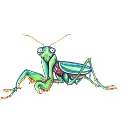 tyler leak 2