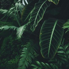 Worthless (feat. C.Blakkk)