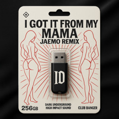 will.i.am - I Got It From My Mama (JAEMO Remix)