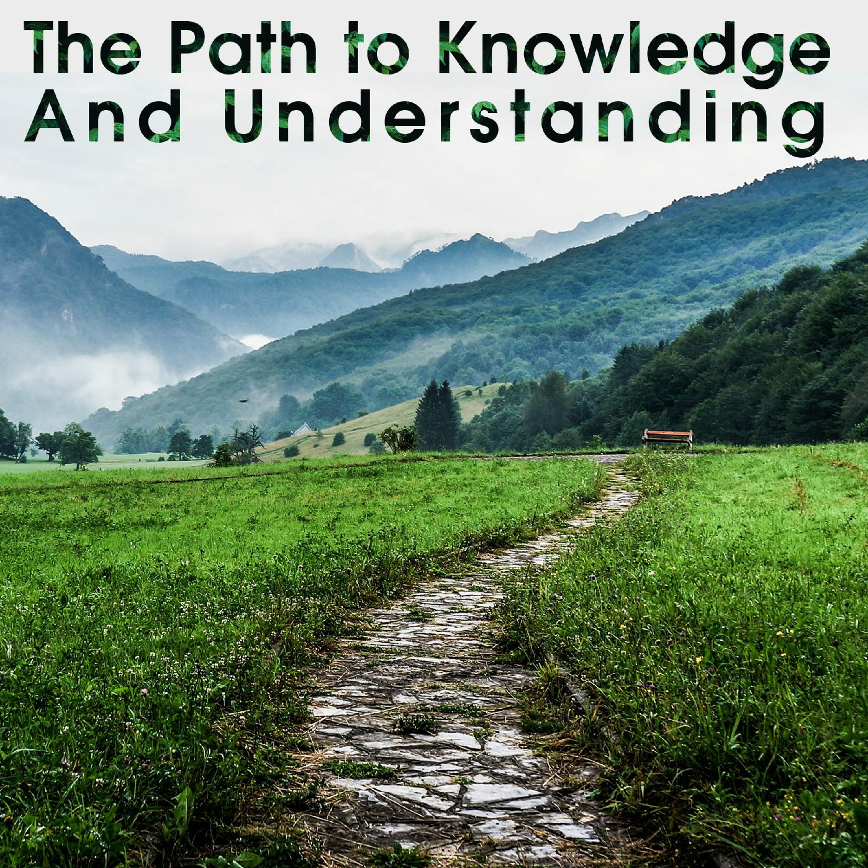 The Path to Knowledge And Understanding episode artwork