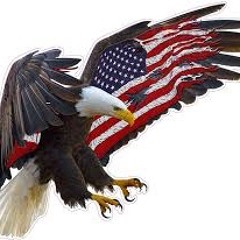 Mosby Eagles
