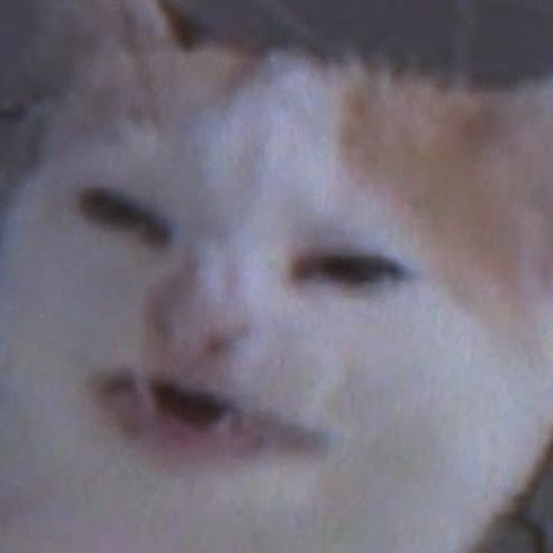 남의드릴 feat odd95 (Prod.DT5)