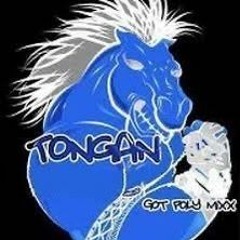 TOKO PINE MAI - ROOTS 676