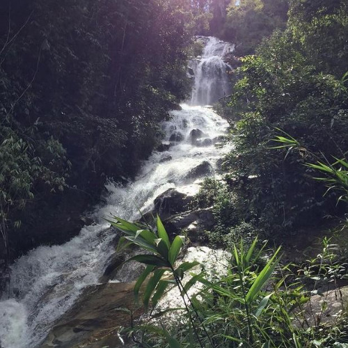 presha - good riddance (aria1k) [Distorted Audios Exclusive]