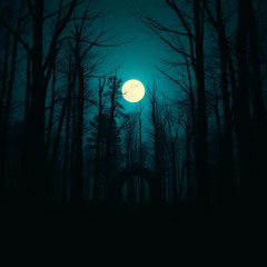 Ghost Layer – The Shaman’s Journey