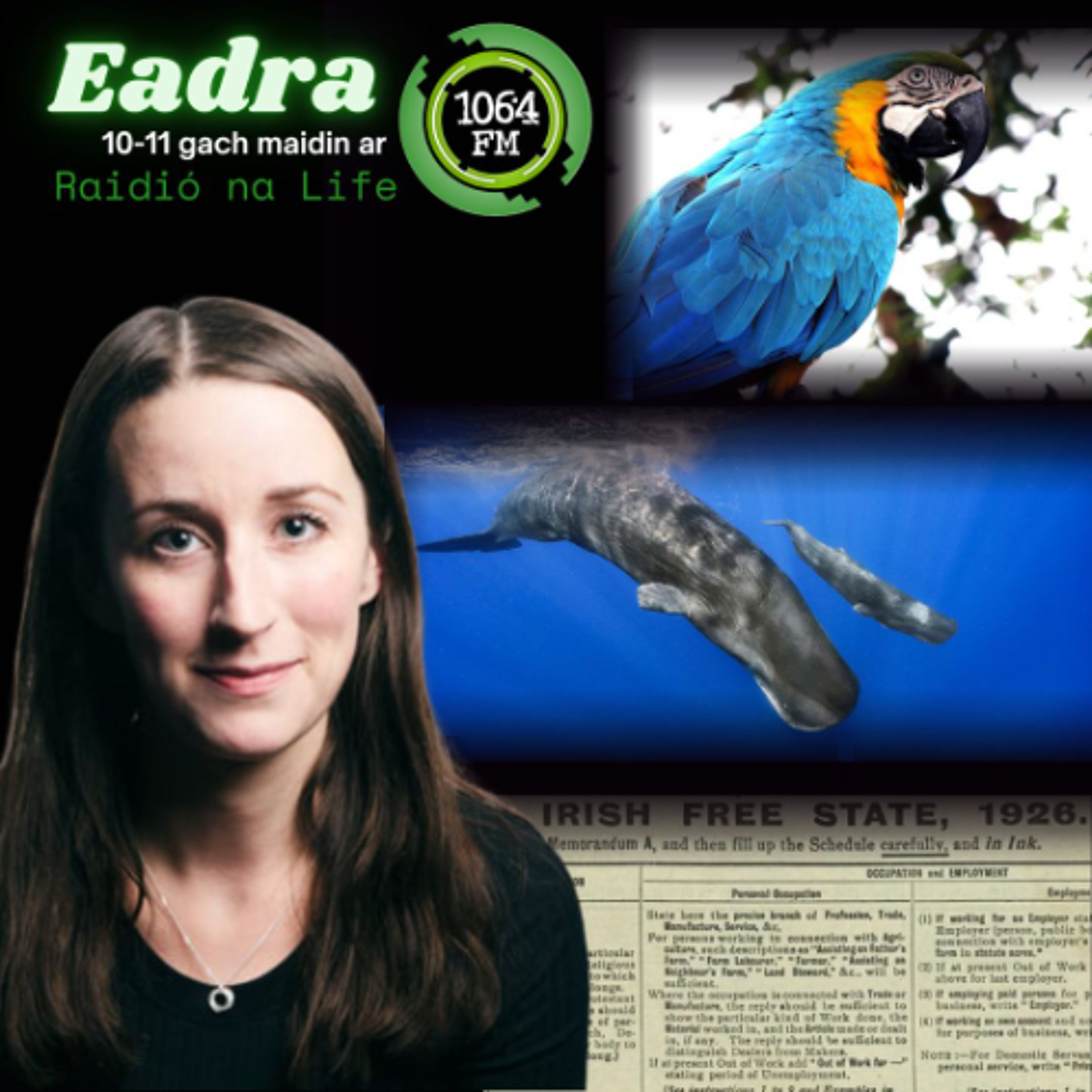 Dea-Scéalta na Seachtaine - 20 Aibreáin 2026 episode artwork