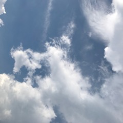 Mexiko Dro x Playboi Carti x Plugg Type Beat "Breeze"