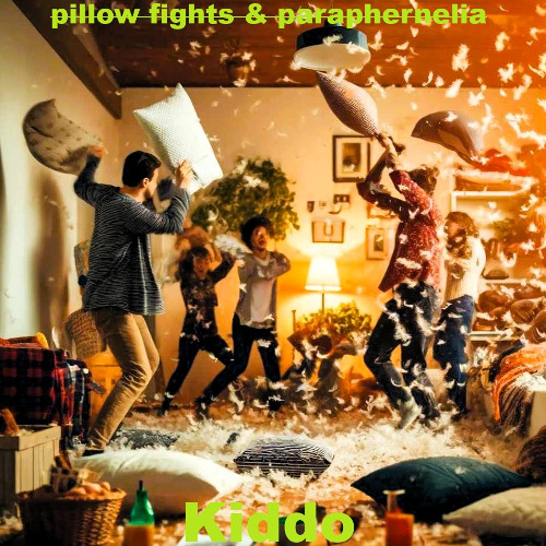Pillow Fights & Paraphernelia