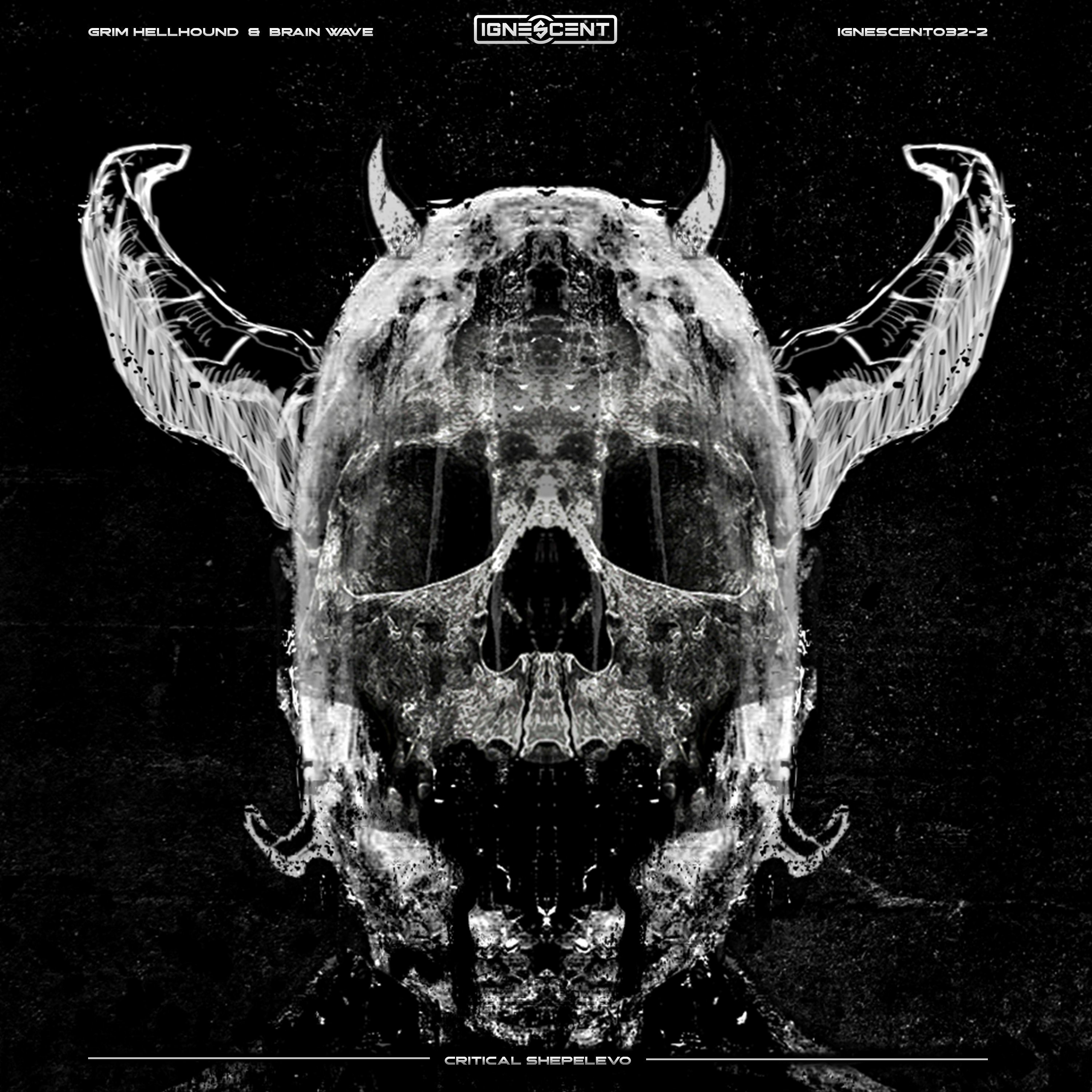 Brain Wave & Grim Hellhound - Critical Shepelevo episode artwork