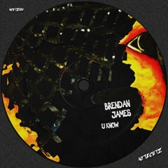 Brendan James - U Know (Original Mix)(OUT NOW)