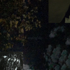 analog\4o