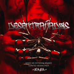 MVLDEOJO - Desde Mis Entrañas Remix (PROMESAS ROTAS MIX)