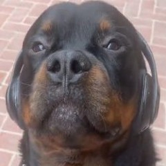 95bpm