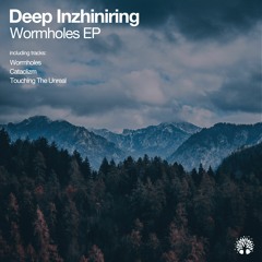 [ETREE462] Deep Inzhiniring - Wormholes EP