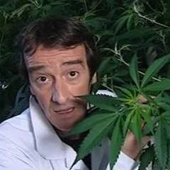 Oh Du Cannabis !!  Réedit