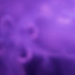 in love in love in love whatever 3