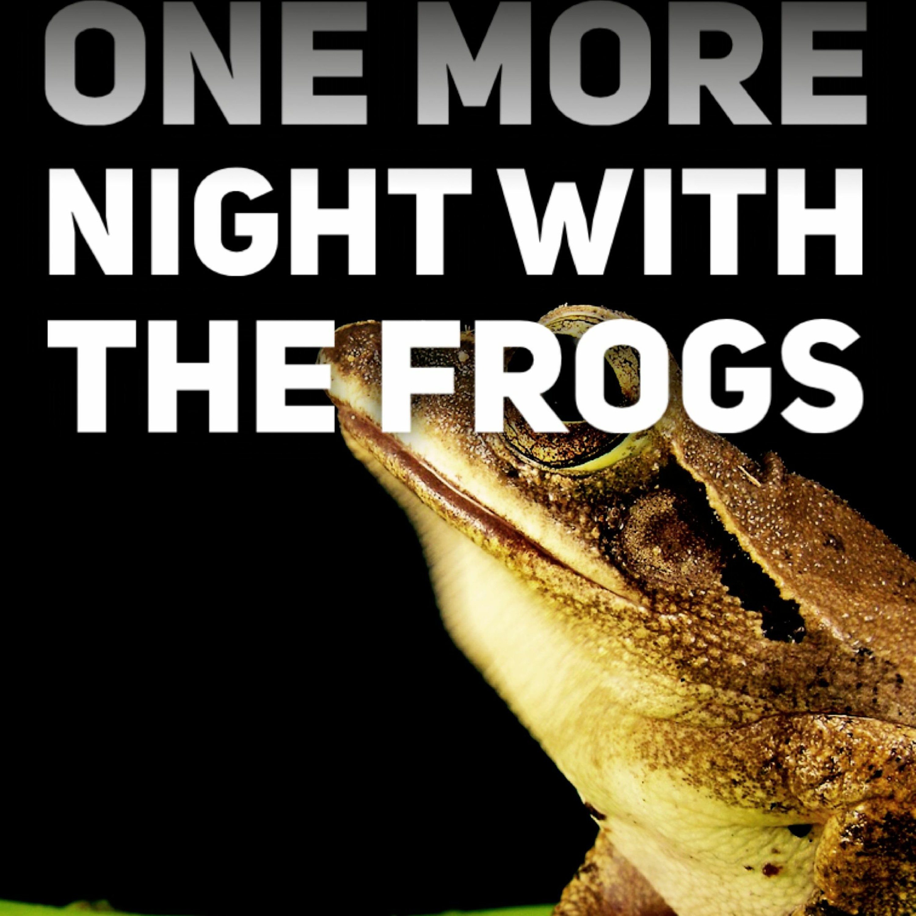 11/15/20 - Don't Spend One More Night With The Frogs episode artwork