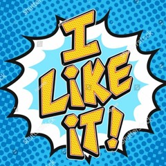 PROJECT HAVOC - I LIKE IT ( SAMPLE )