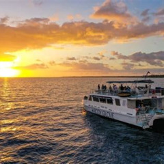 Best Historical Dinner Cruise To Kealakekua Bay Tours Review