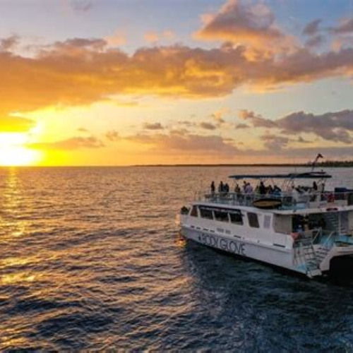 Best Historical Dinner Cruise To Kealakekua Bay Tours Review