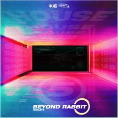 Beyond Rabbit - Isolate
