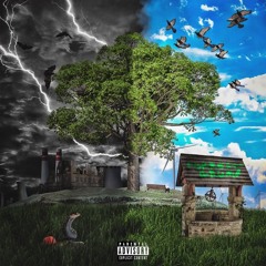 Wishing Wells (Forrest Grump)