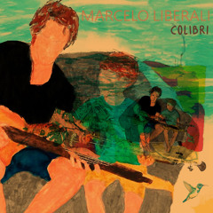 Colibrí