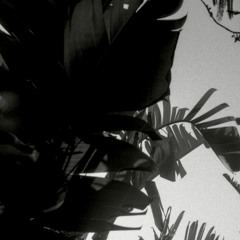 The Last Of Us (night flip)