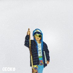 Gecko - Making It Through