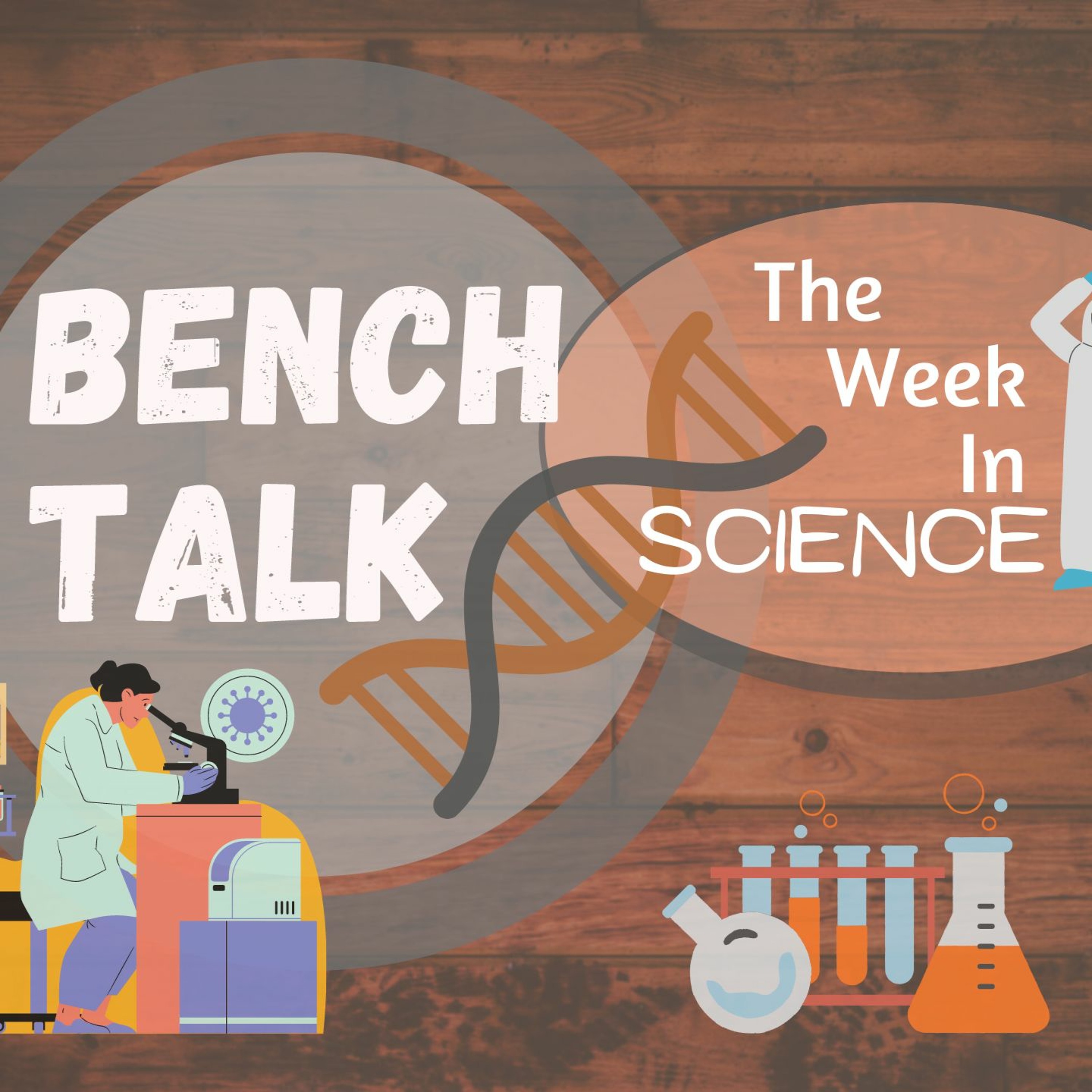 Bench Talk | How To Deal With Election Stress - November Sky | Nov. 4, 2024 episode artwork