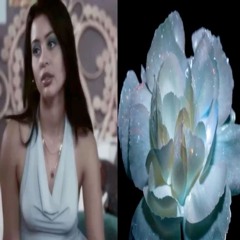 show you  prod glossalia