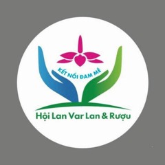 Vietmix(Đặt)HỘI LAN VAR LAN & RƯỢU Tánh Linh - Xuân Viễn