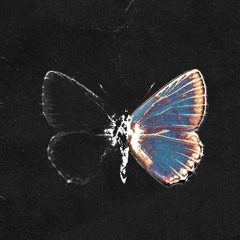 gina & pam @senseixjay