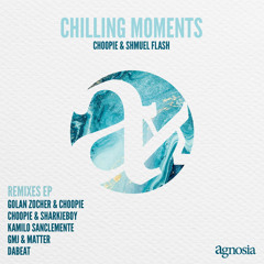 PREMIERE: Chilling Moments (Golan Zocher & Choopie Remix)