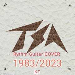 TSA - Wysokie Sfery [1983] (KT Rythm Guitar COVER).mp3