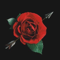 Roses - (R&B/Pop Instrumental)