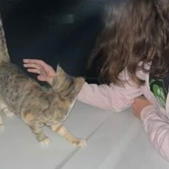 𝐍𝐎 𝐐𝐔𝐀𝐋𝐌𝐒 𝐓𝐇𝐈𝐒 𝐅𝐀𝐋𝐋⁽ᴰᵉᵐᵒ⁾ - loveroché