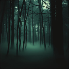 Frankenstein's Monster