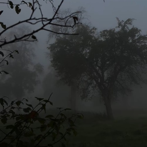 Deleted your memories