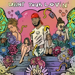 Want Your Lovin