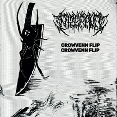 CAB - NITERAVE (CROWVENN FLIP)
