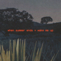 when summer ends = wake me up (Rough draft 2019)