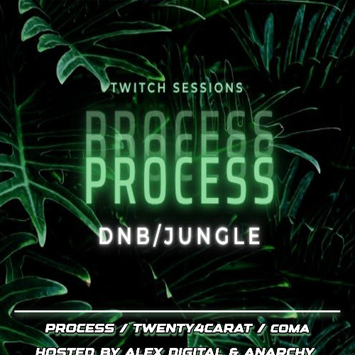 DJ's Process B2B Twenty4Carat B2B Coma with MC's Alex Digital & Anarchy